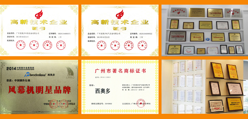 西奧多榮獲眾多榮譽(yù)獎項